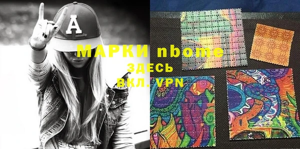 хмурый Алексин