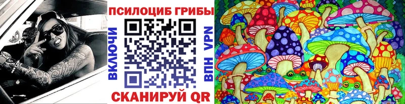 Псилоцибиновые грибы мухоморы  дарк нет как зайти  Дмитров 