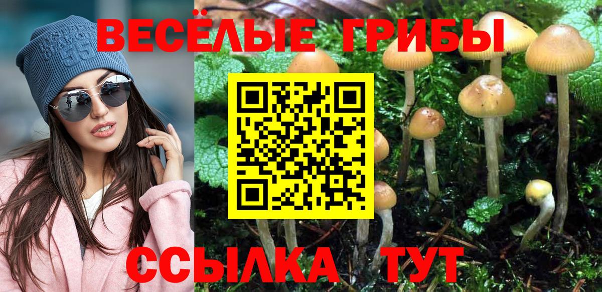 Псилоцибиновые грибы GOLDEN TEACHER Дмитров