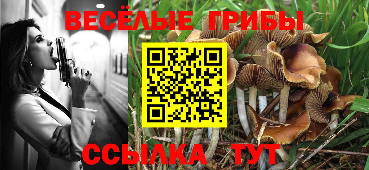 Галлюциногенные грибы прущие грибы  наркотики  Дмитров  Галлюциногенные грибы Psilocybine cubensis  Вход с VPN 