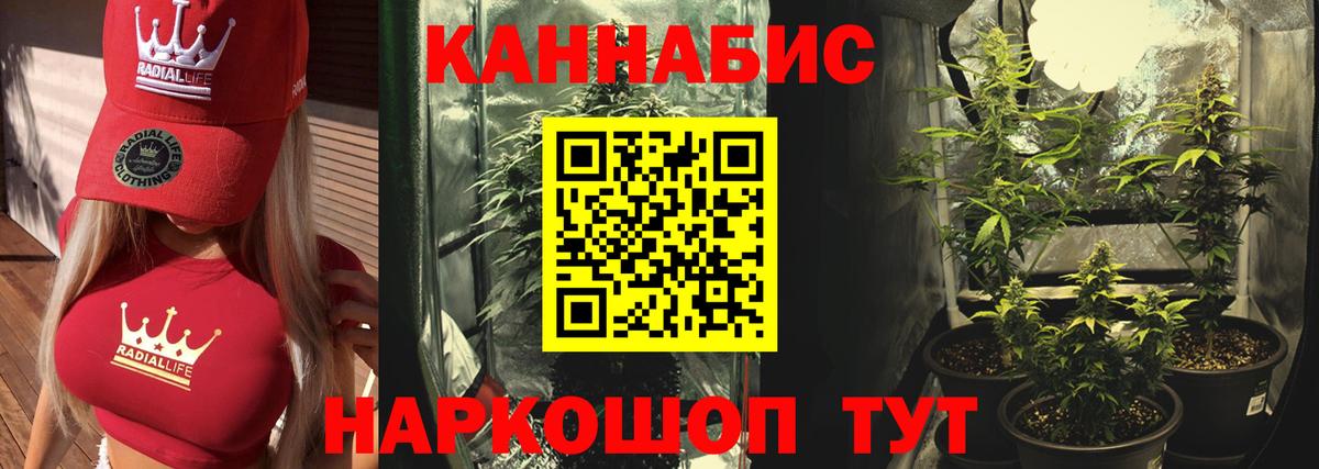 МАРИХУАНА планчик Дмитров